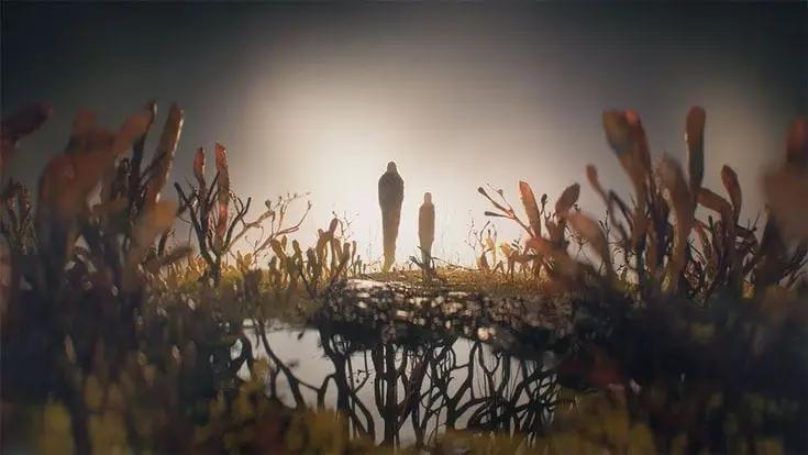A Verdade sobre o Fungo Zumbi: O Cordyceps de The Last of Us é um Perigo Real?
