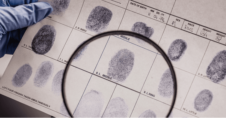Medicina forense