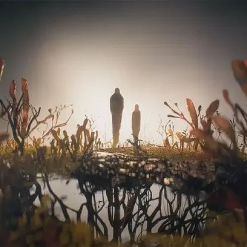 A Verdade sobre o Fungo Zumbi: O Cordyceps de The Last of Us é um Perigo Real?